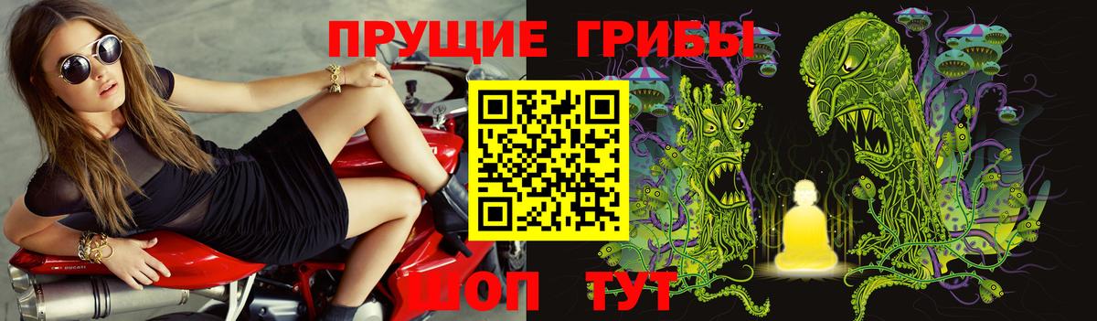 Галлюциногенные грибы Psilocybine cubensis Ковров