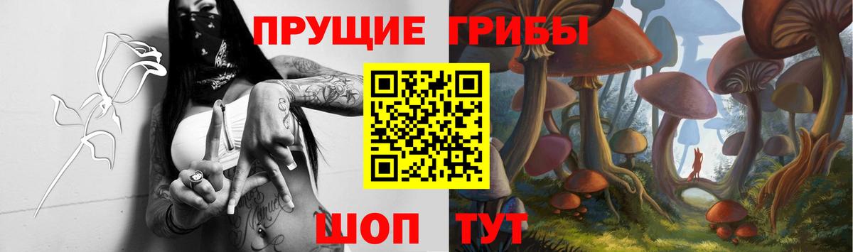 Галлюциногенные грибы прущие грибы  Псилоцибиновые грибы прущие грибы  Ковров  Вход с VPN 